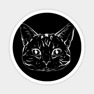 Scottish cat portrait art Magnet